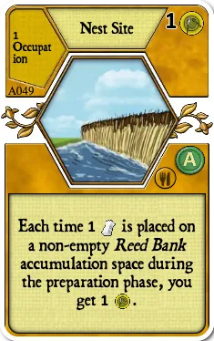Nest Site